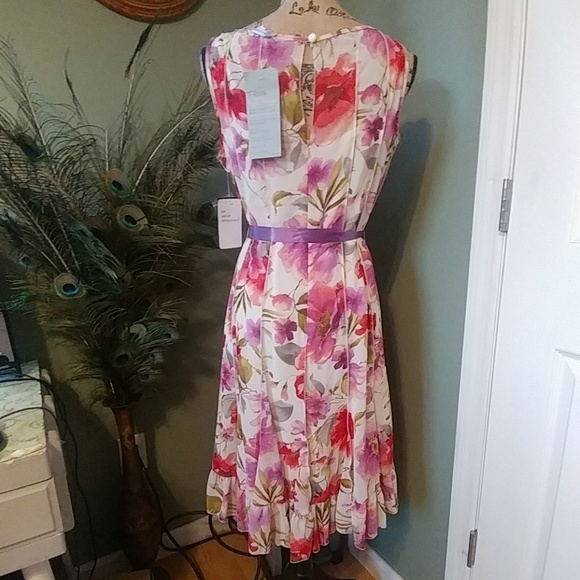 Sandra Darren Fit and Flare Dress Size 8P - Picture 5 of 8
